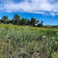 Buffalo Coulee Ranch images 2