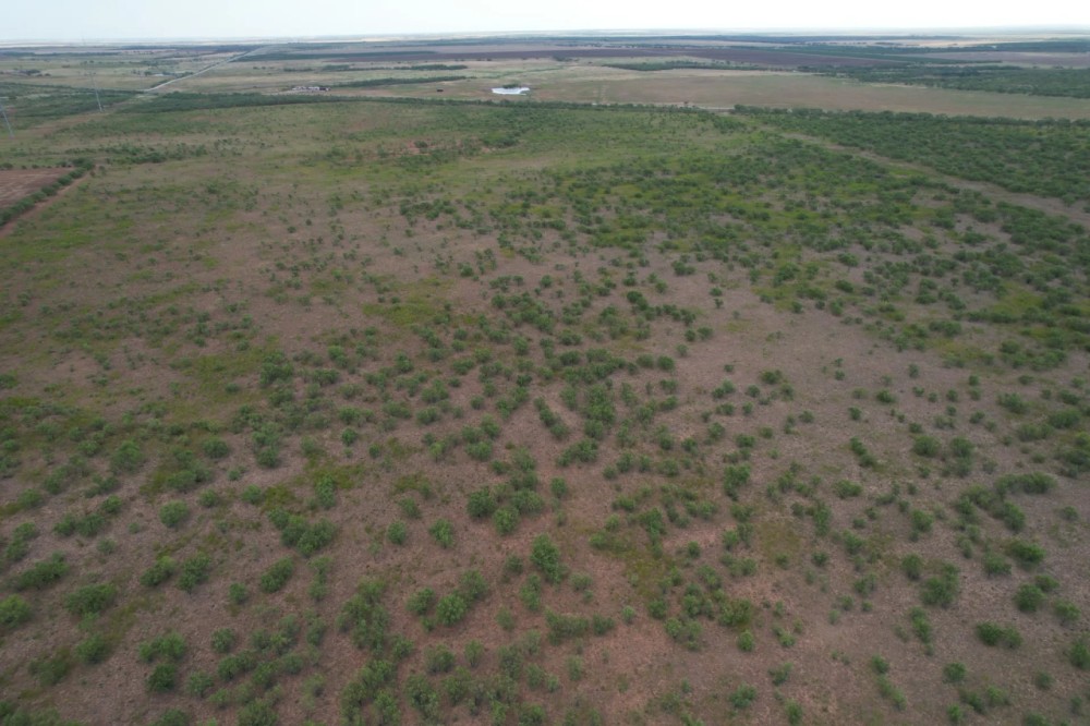 Back on the Market 75 - Acres Jones County featured image