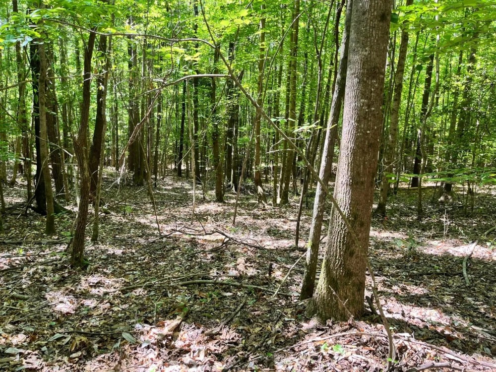 20 Acres located featured image