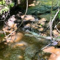 20 Acres located images 4