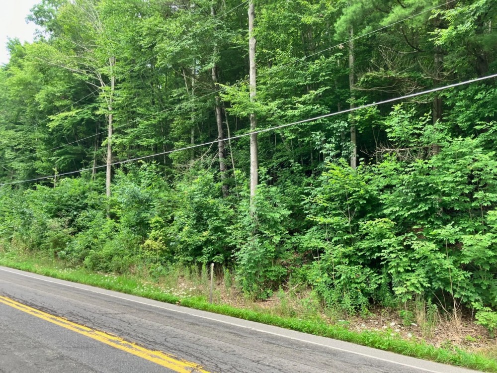 8.9 acres Across from the Tioughnioga River in Barker NY 7338 NY-79 featured image
