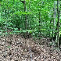 8.9 acres Across from the Tioughnioga River in Barker NY 7338 NY-79 images 3
