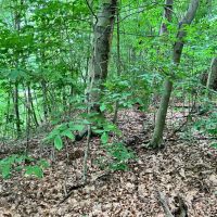 8.9 acres Across from the Tioughnioga River in Barker NY 7338 NY-79 images 4