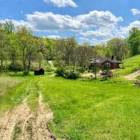 Russell Rd. Fayette County - 97 - acres images 5