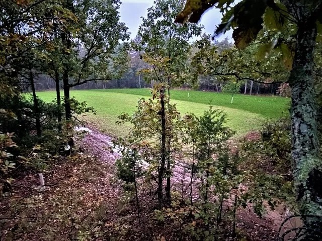 Patrey Branch Hunting Land featured image