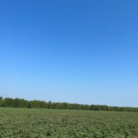 37.4 Acres in Quitman County MS