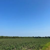 37.4 Acres in Quitman County MS images 3