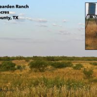 Tucker-Bearden Ranch
