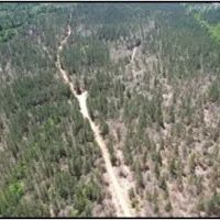 80 Acres in Jasper Clarke County in Vossburg MS images 3