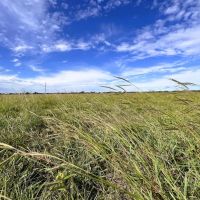 El Campo 78 Tract 3 10 Acres Only 15K Down images 2