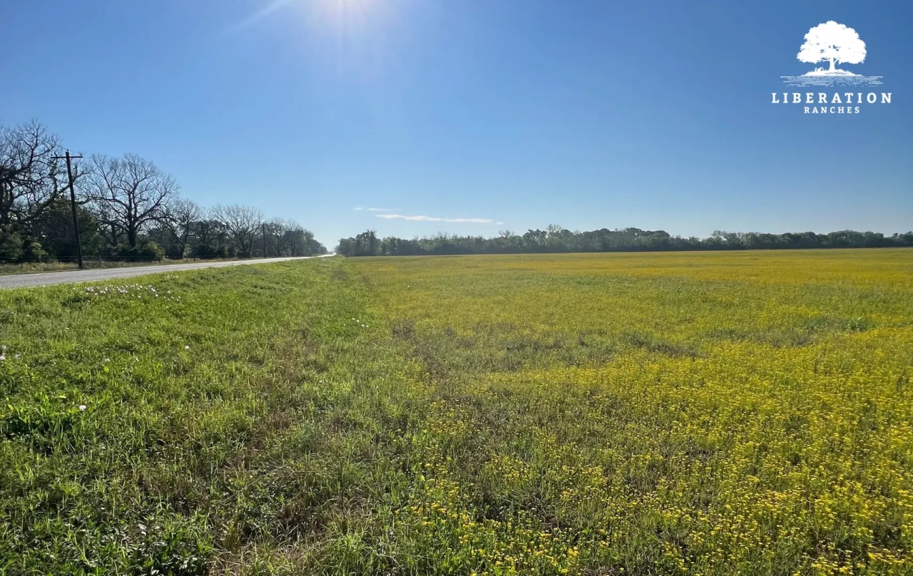 El Campo 78 Tract 3 10 Acres Only 15K Down Hunting Land for Sale