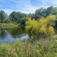 210 acre m l Davis County Iowa images 3