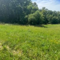 210 acre m l Davis County Iowa images 4