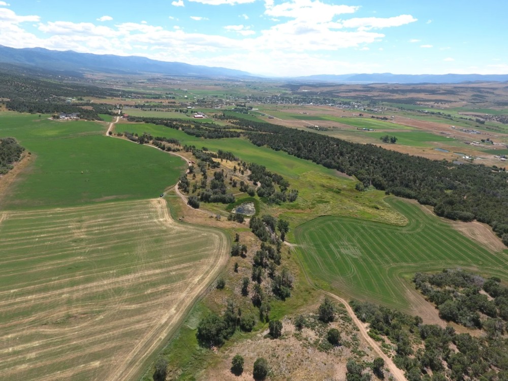 The Cox Ranch featured image