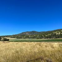 The Cox Ranch images 5