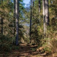 000 FM 362 images 5