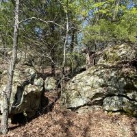 Deep Branch Creek Hunting Ranch 635 acres-SKB images 5