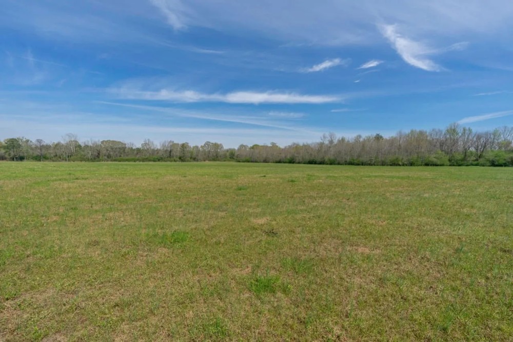 Beautiful 3 Acre Homesite Lot in Greenville Lot 5 featured image