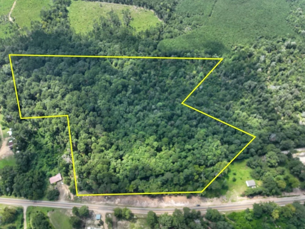 26 Acres T-1 Highway 87 Property featured image
