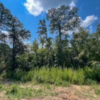 26 Acres T-1 Highway 87 Property images 3