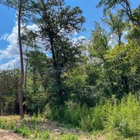 26 Acres T-1 Highway 87 Property images 4