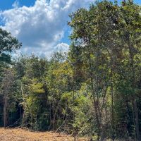 26 Acres T-1 Highway 87 Property images 5