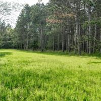 Exceptional Recreational Property in Sparta WI images 3