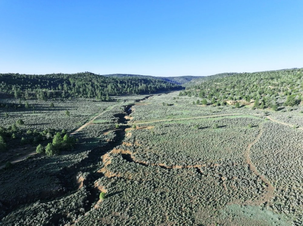 Maverick Valley Ranch featured image