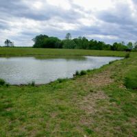 107 Acres of Seclusion to Hunt Graze or Build your Home images 2
