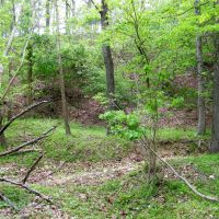 107 Acres of Seclusion to Hunt Graze or Build your Home images 4
