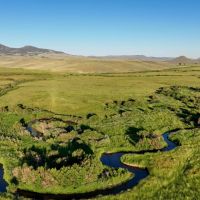 Needle Creek Ranch