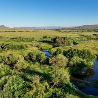 Needle Creek Ranch images 5