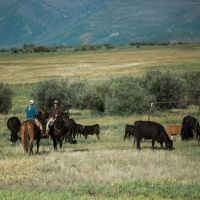 The Kuiper Ranch images 4