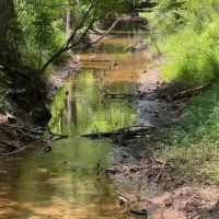 - 19.05 Acres Tract 2 Sitton Hill Road Easley SC images 3
