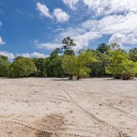 187.72 Acres - Tract 1 on Riverfront Haven on Alapaha River images 3