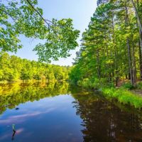 Henderson Creek Ranch images 3
