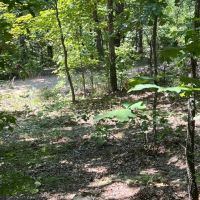 Minx Valley Hideaway images 2