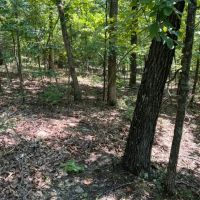 Minx Valley Hideaway images 3