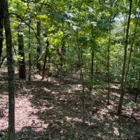 Minx Valley Hideaway images 4