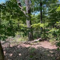 Minx Valley Hideaway images 5