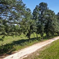 11 Acres Creek Pastures - 11 Acres Black Jack Rd Walker County TX