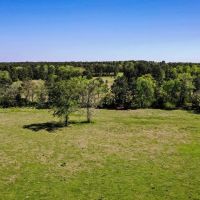 11 Acres Creek Pastures - 11 Acres Black Jack Rd Walker County TX images 4