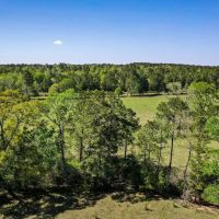 11 Acres Creek Pastures - 11 Acres Black Jack Rd Walker County TX images 5