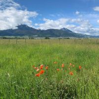 Paradise Valley Farm images 5
