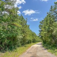 56 Acres CR 364 T-2
