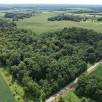 56 Acres - Wayne County IN -Building Site Woods Pasture images 2