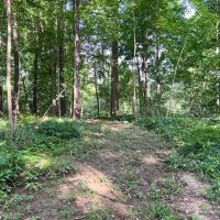56 Acres - Wayne County IN -Building Site Woods Pasture images 4