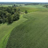 56 Acres - Wayne County IN -Building Site Woods Pasture images 5