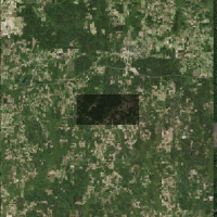 Caney Creek WMA 27,991-Acres turkey & deer hunting land Forest, MS