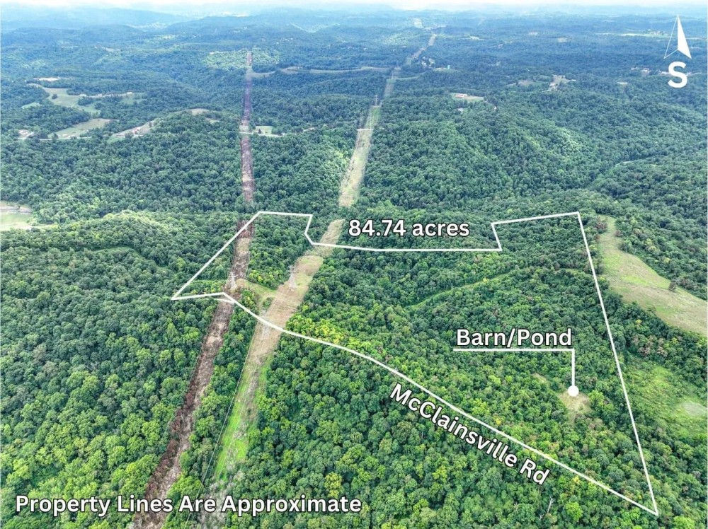 McClainsville Rd - 84 Acres - Belmont County featured image